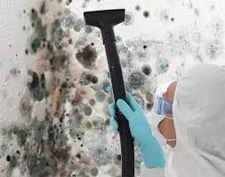 Best Mold Odor Removal Services  in Port Huron, MI